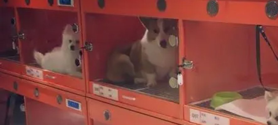 女生什么工作最赚钱?