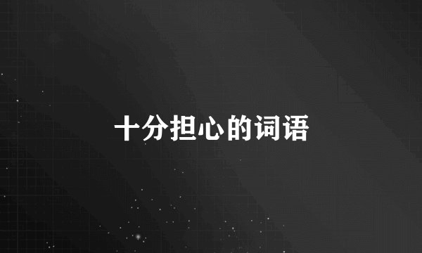 十分担心的词语