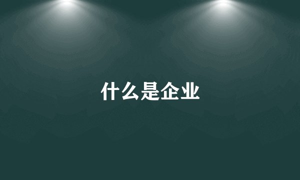 什么是企业