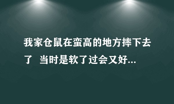 我家仓鼠在蛮高的地方摔下去了  当时是软了过会又好了  但又过了一两天它好像出问题了不管怎么弄它身