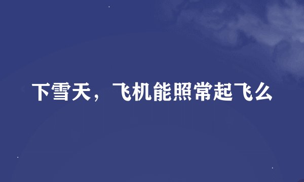 下雪天，飞机能照常起飞么
