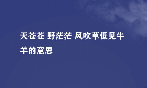 天苍苍 野茫茫 风吹草低见牛羊的意思