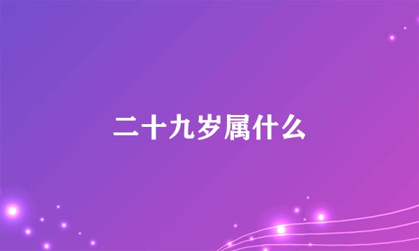 二十九岁属什么