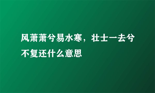 风萧萧兮易水寒,壮士一去兮不复还什么意思