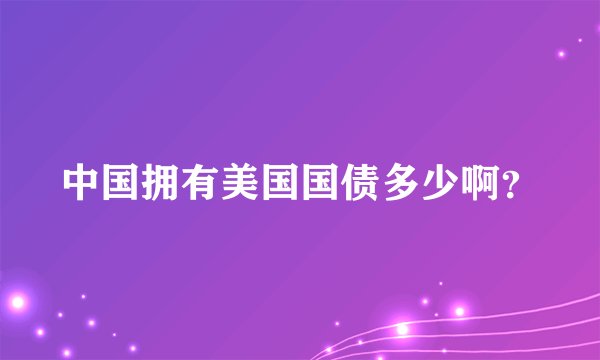 中国拥有美国国债多少啊？