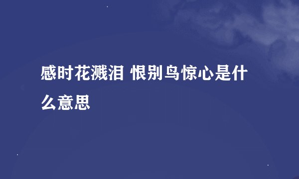 感时花溅泪 恨别鸟惊心是什么意思