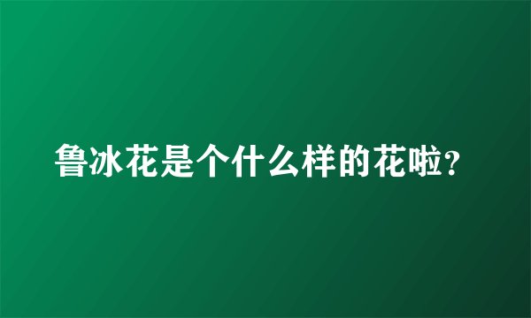 鲁冰花是个什么样的花啦?