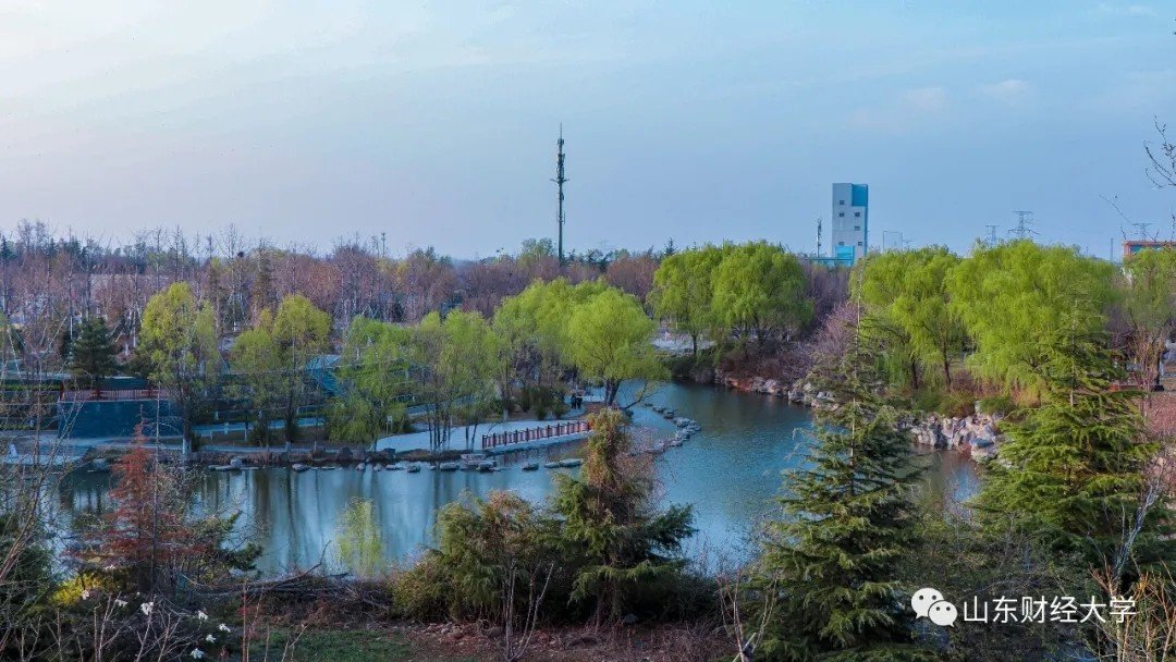 山东财经大学好不好
