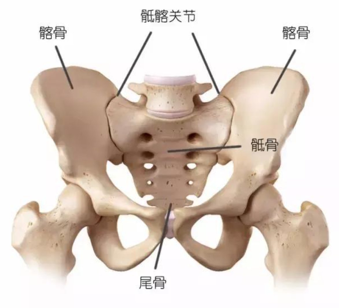 骶髂拼音怎么读？