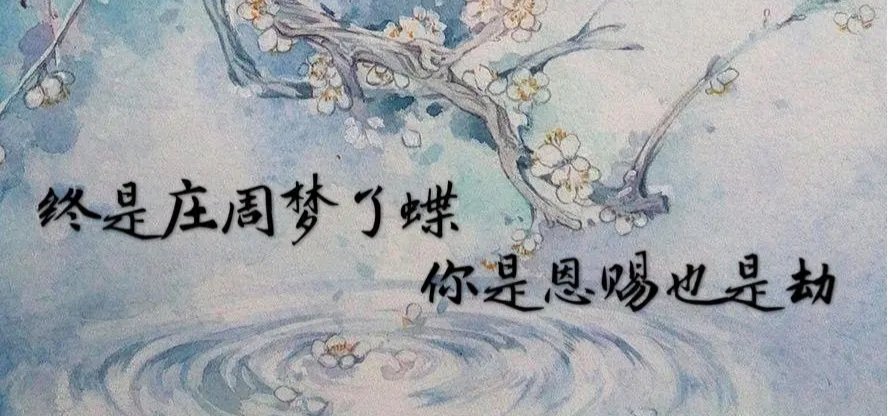 终是庄周梦了蝶下一句是什么啊?