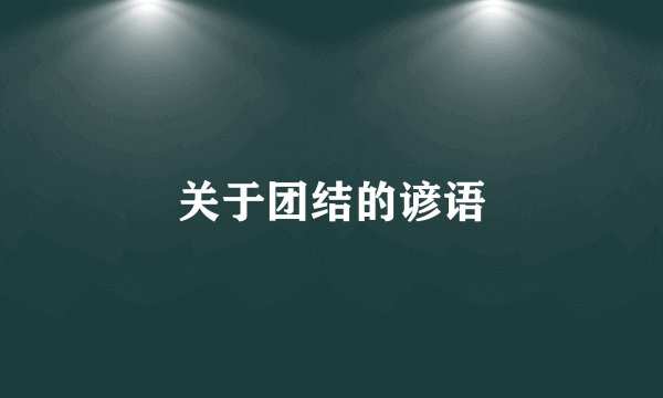 关于团结的谚语