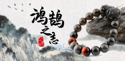 古人常以“鸿鹄之志”来形容志向远大,这里的“鸿鹄”是指什么?