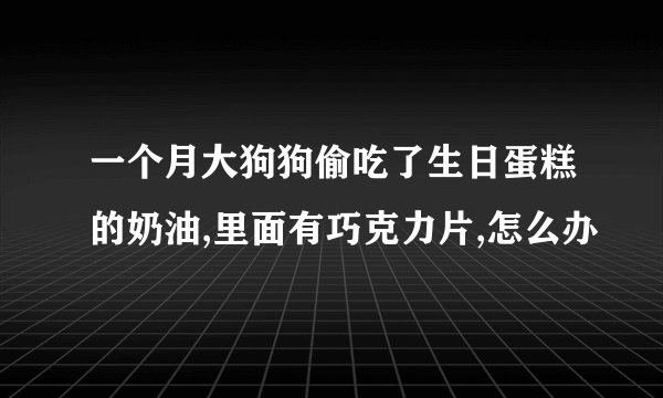 一个月大狗狗偷吃了生日蛋糕的奶油,里面有巧克力片,怎么办