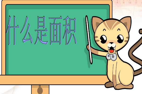 什么是面积的概念