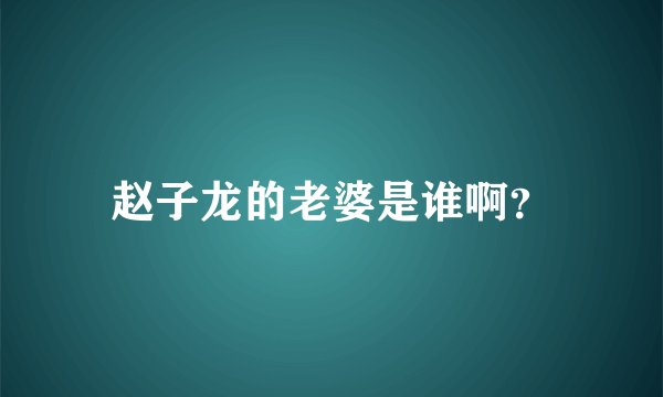 赵子龙的老婆是谁啊？
