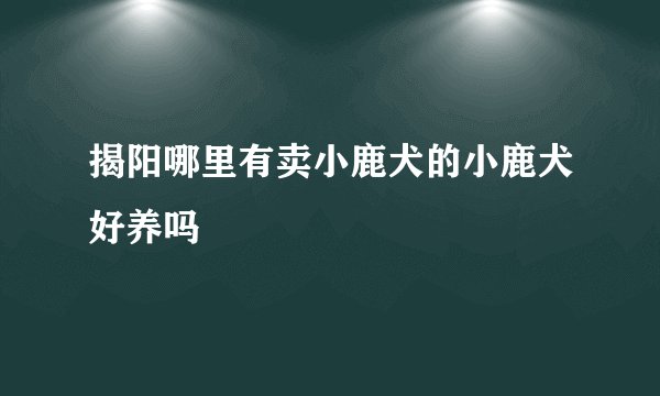 揭阳哪里有卖小鹿犬的小鹿犬好养吗