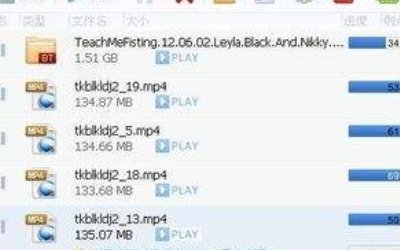 BT文件是什么，怎么打开？？？