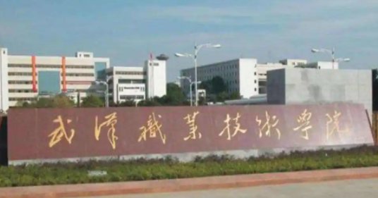 武汉职高多少分能上