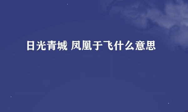 日光青城 凤凰于飞什么意思