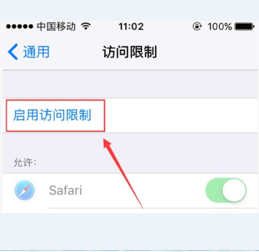 iphone6访问限制密码初始是多少