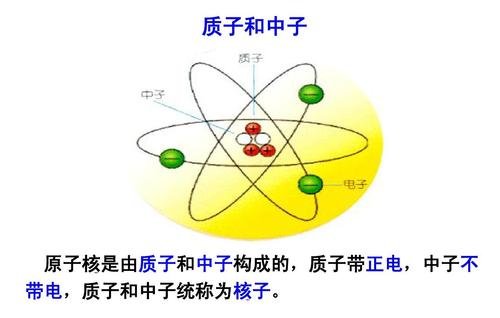 怎样看元素中的质子数和中子数