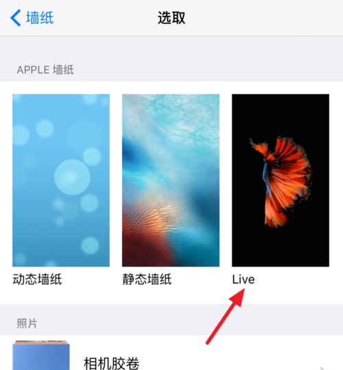 ipad怎么设置动态壁纸，就是抖音上的
