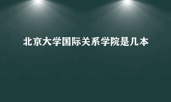 北京大学国际关系学院是几本