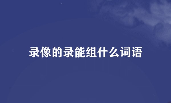 录像的录能组什么词语