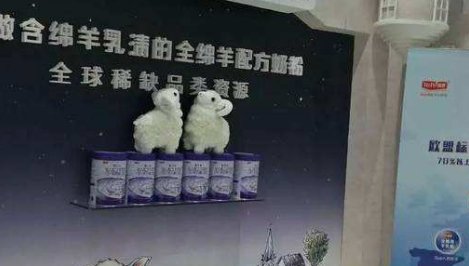 世界奶粉排名前十名是哪些品牌?