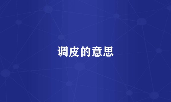 调皮的意思