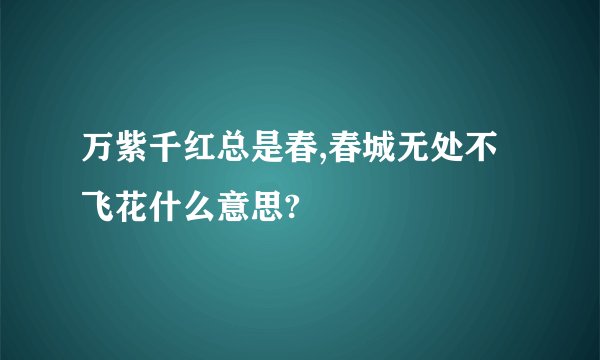万紫千红总是春,春城无处不飞花什么意思?
