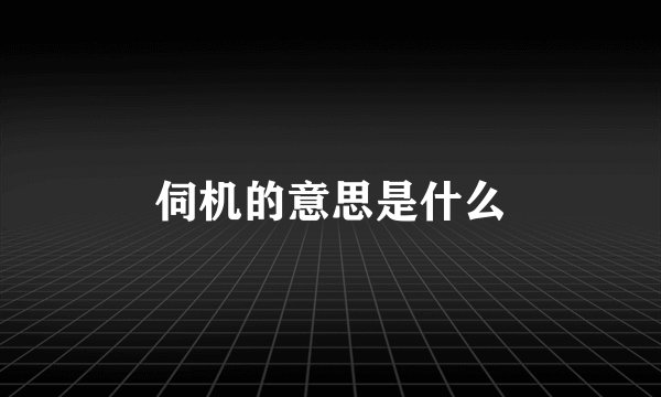 伺机的意思是什么