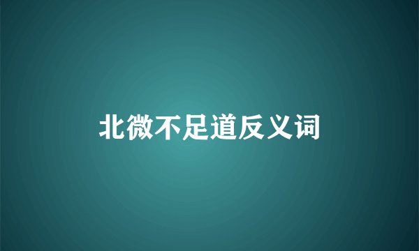 北微不足道反义词