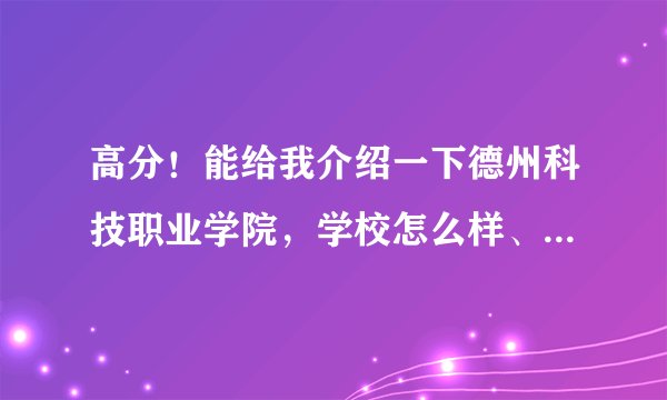 高分！能给我介绍一下德州科技职业学院，学校怎么样、我是菏泽的今年考了230能去吗？是国办得吗？