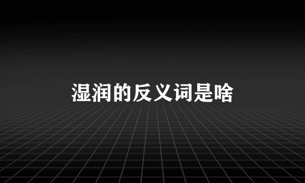 湿润的反义词是啥