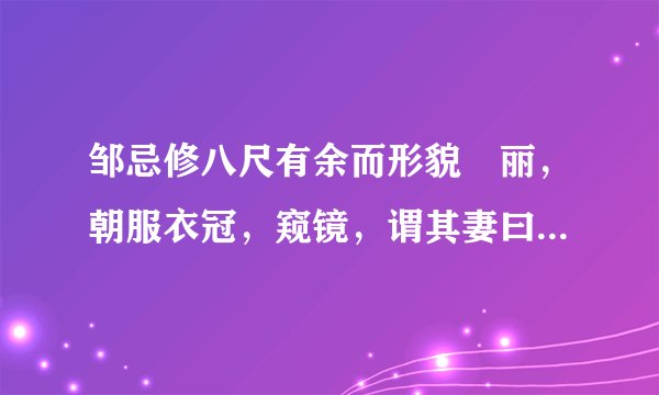 邹忌修八尺有余而形貌昳丽，朝服衣冠，窥镜，谓其妻曰：我孰与城北徐公美？其妻曰：“君美甚，徐公何