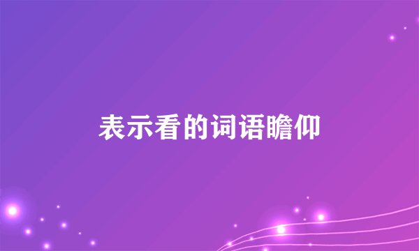 表示看的词语瞻仰
