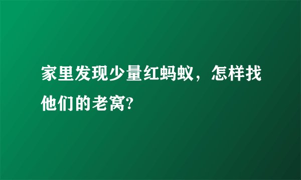家里发现少量红蚂蚁，怎样找他们的老窝?