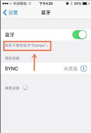 苹果手机怎么在设置里改蓝牙耳机的名字？