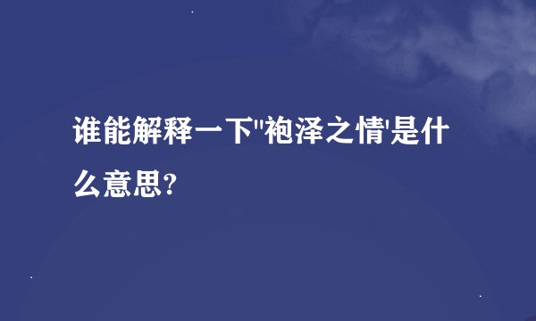 谁能解释一下