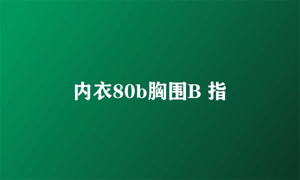 内衣80b胸围B 指