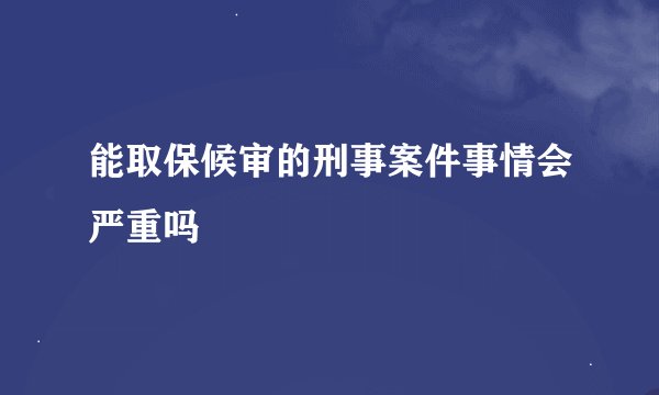 能取保候审的刑事案件事情会严重吗