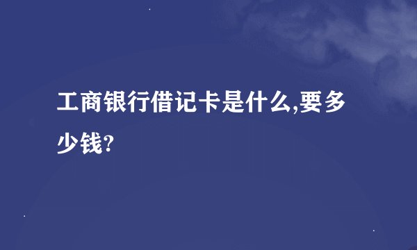 工商银行借记卡是什么,要多少钱?
