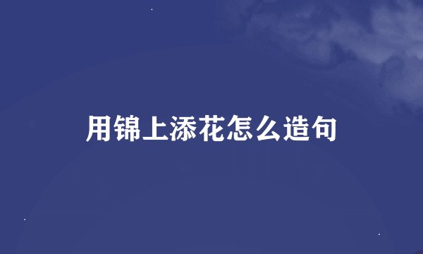 用锦上添花怎么造句