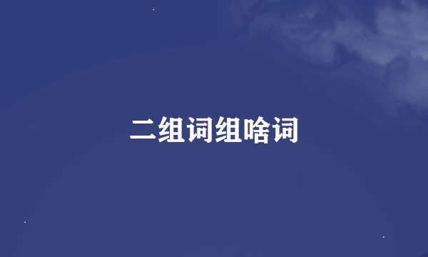 二组词组啥词