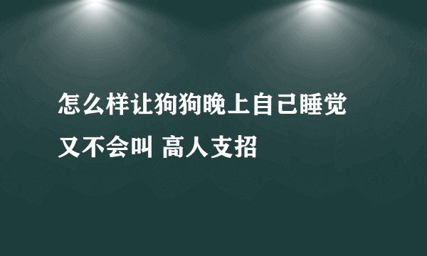 怎么样让狗狗晚上自己睡觉 又不会叫 高人支招