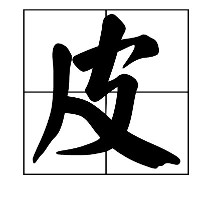 皮字的部首是什么