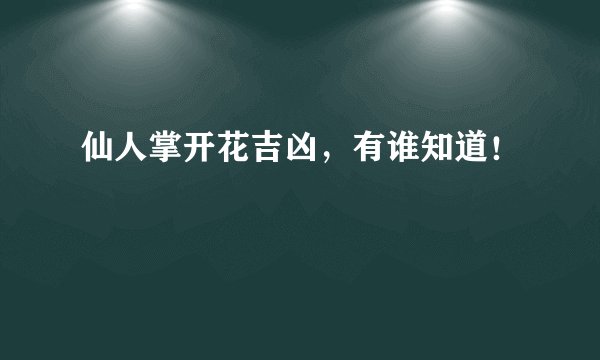 仙人掌开花吉凶，有谁知道！