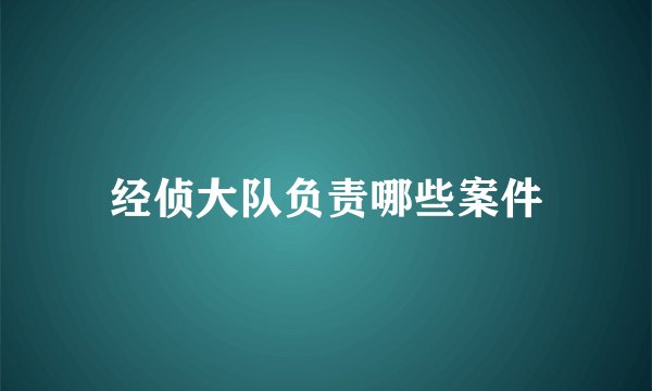 经侦大队负责哪些案件