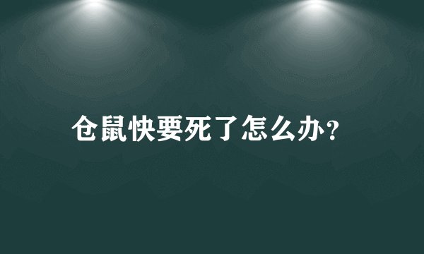 仓鼠快要死了怎么办?